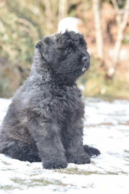 0aa26bcc-b61d-4a9c-98df-e57ed0169bbd