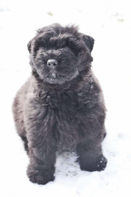 276a1a16-5bec-4dea-8027-da53dc3aff1c