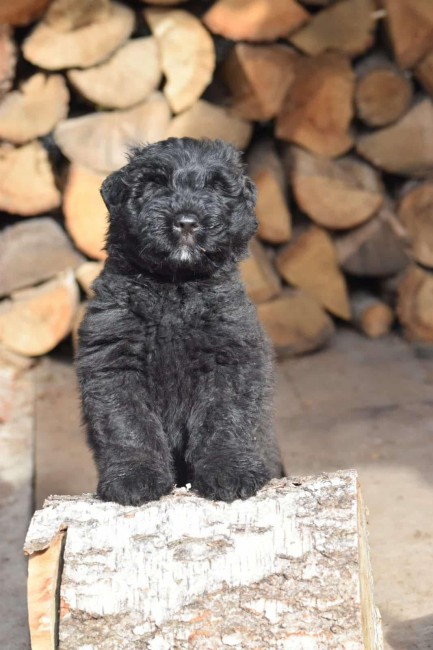 43cc2a90-380e-4448-9fd2-08feef254f8d