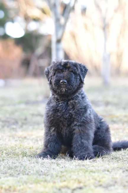 44779e7c-0e42-4367-8257-cdf0771b07ad