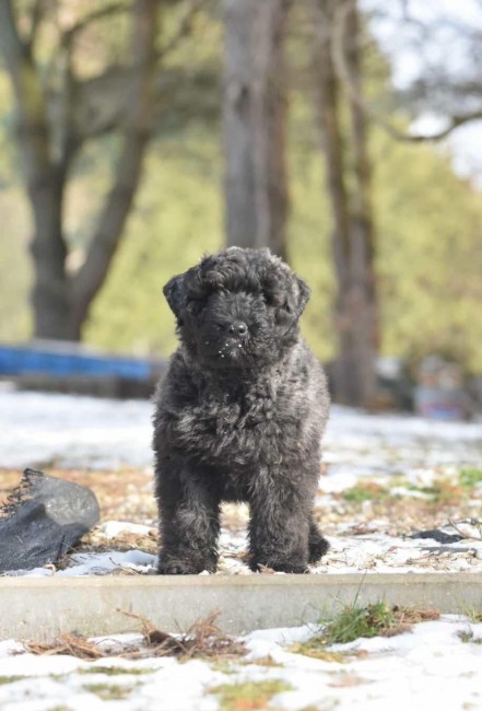 5fddaeb4-c269-4057-b34a-0b57604317df