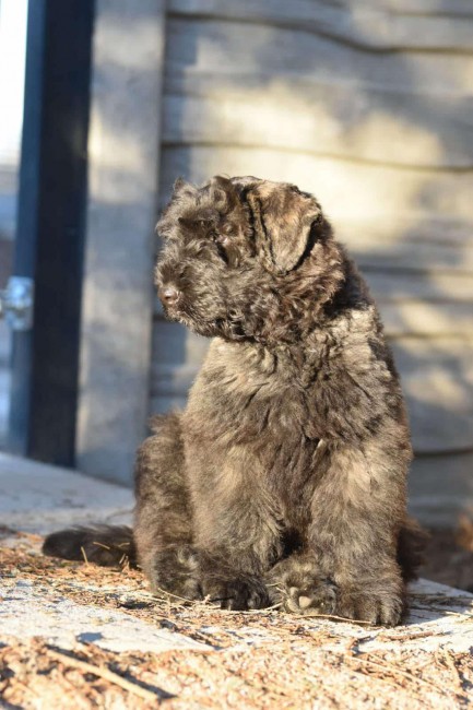 6acacbe6-686f-4132-a225-fe221034824e