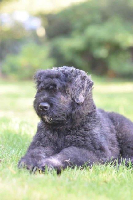 70f64bcf-2a0a-4317-acbe-799668276fa3