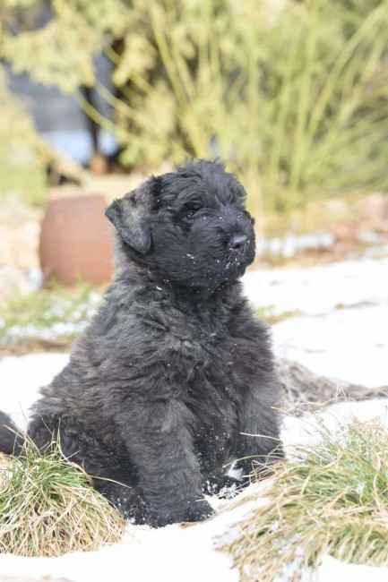 729759a5-348b-4a88-b9fe-4a52ea197b2a