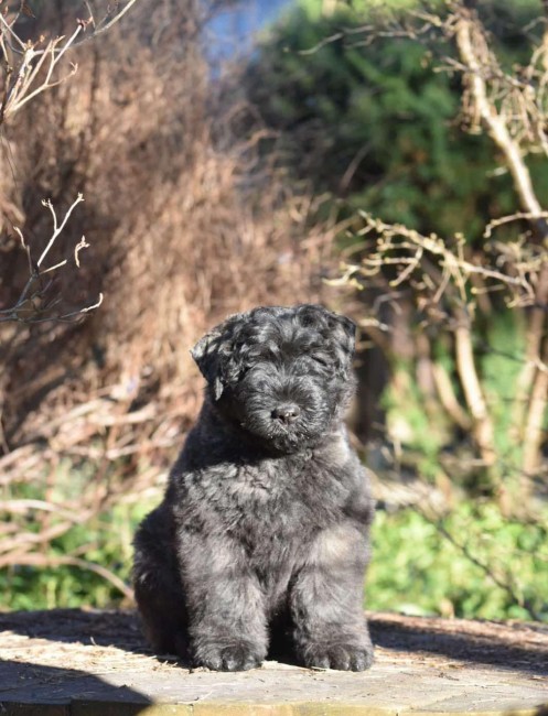 72a1386a-96a3-492b-b5bc-c5272336d49b