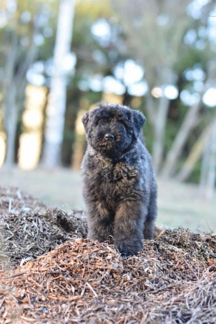 8050ca61-6c0f-49f8-974e-16b2cfa872c6