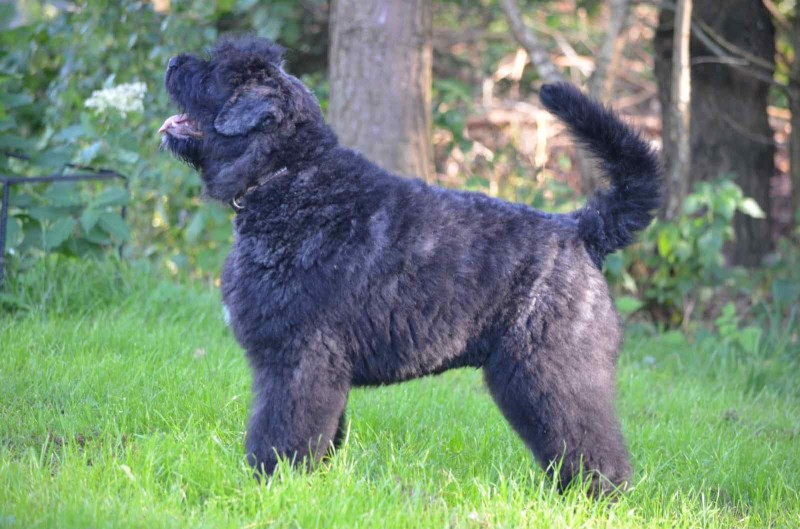 9654ee0e-2172-4d39-9f07-59515b58e127