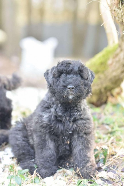 96ae8c1c-f4fb-4ded-ae90-5ab4b4140a24