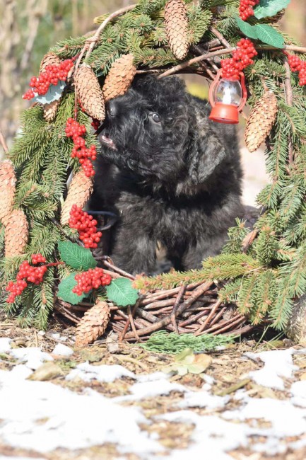 ae2c41c3-0074-4a26-bce3-f5d13a8275e0