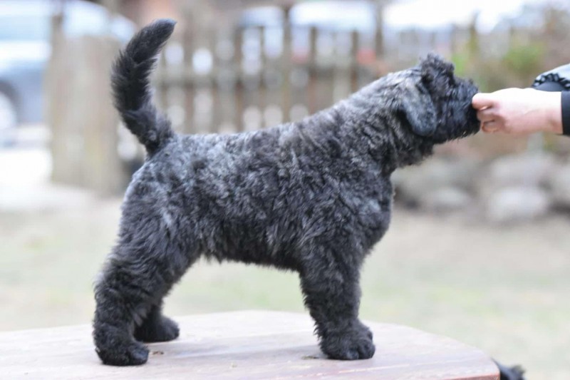 b42013fb-c92b-4599-9fd6-bc1006dc700f