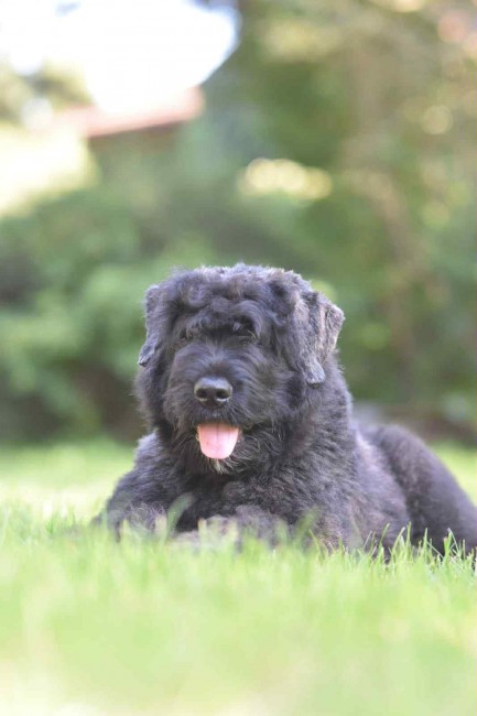 d097fc6d-56f1-4e91-a293-7f05ac639493 (1)