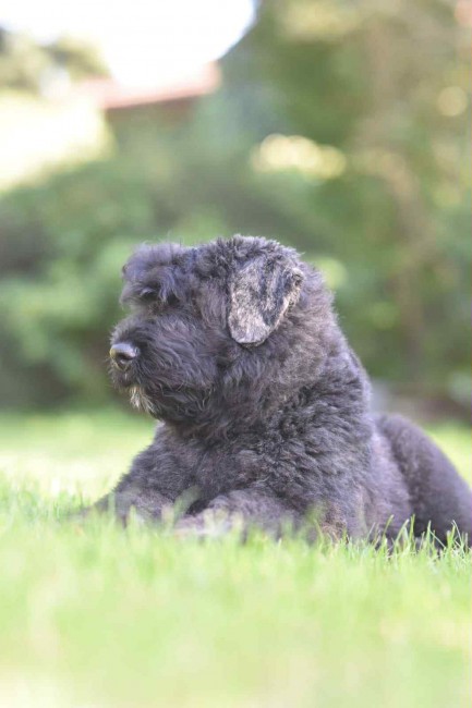 f0a8cd5a-ad46-4aef-bea9-c51c5a947747