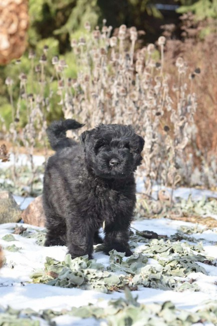 fc8158d3-9dbc-4542-9f79-650588973da7